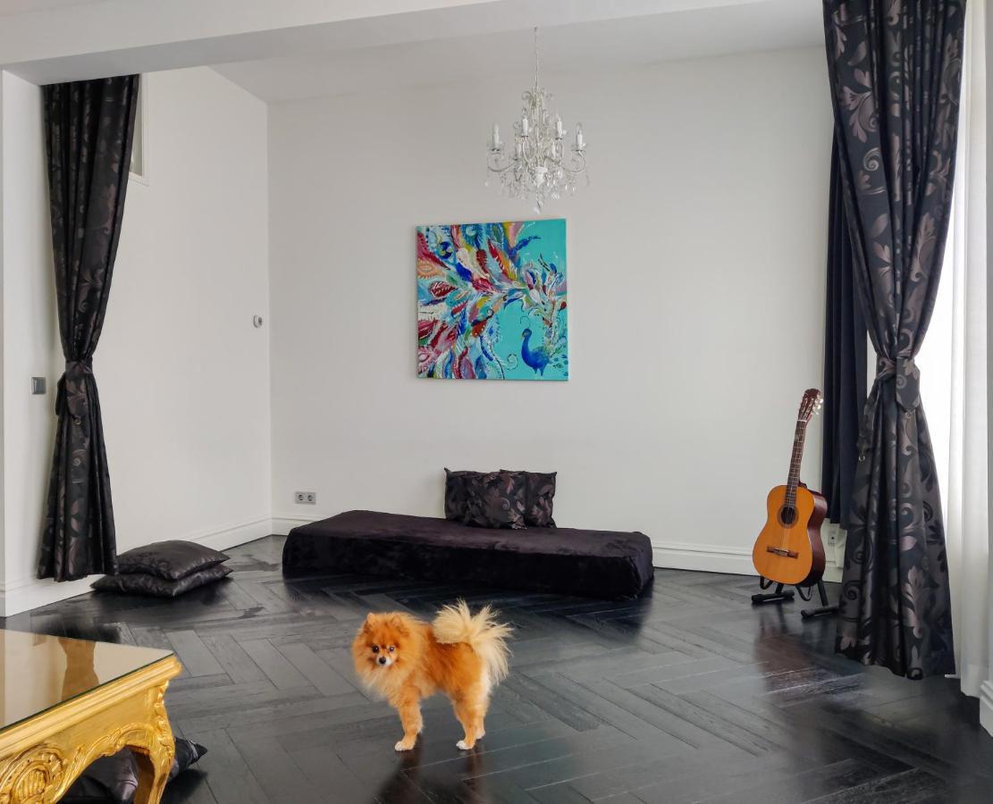 Sezane'S Lodges Amsterdam Esterno foto